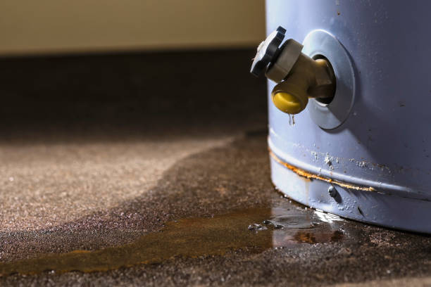 Best 24-hour water damage restoration  in Steger, IL