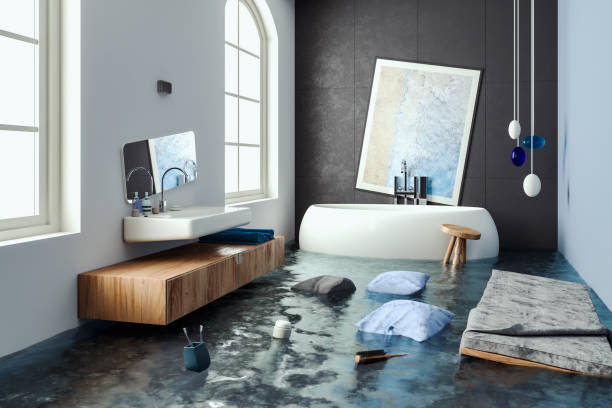 Best Basement water damage restoration  in Steger, IL