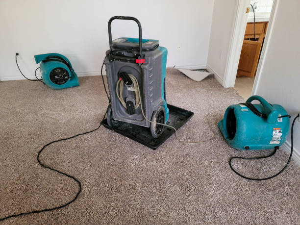 Best Emergency water extraction  in Steger, IL