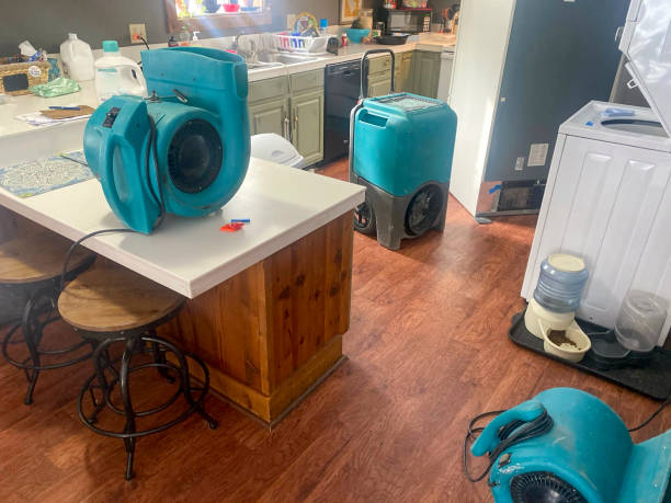 Best Water damage restoration near me  in Steger, IL