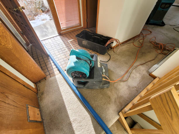  Steger, IL Water damage restoration Pros
