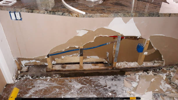 Best Fire Damage Restoration  in Steger, IL