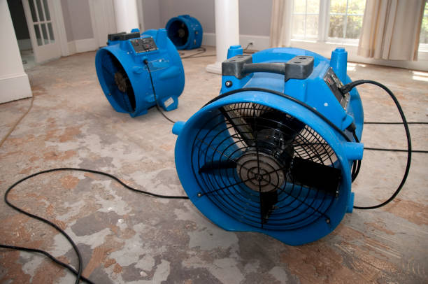 Best 24/7 water damage repair  in Steger, IL