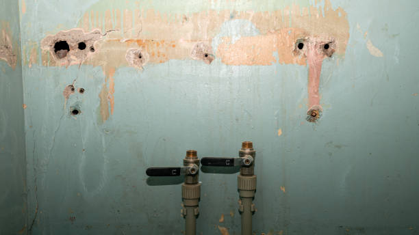 Best Water damage contractors near me  in Steger, IL