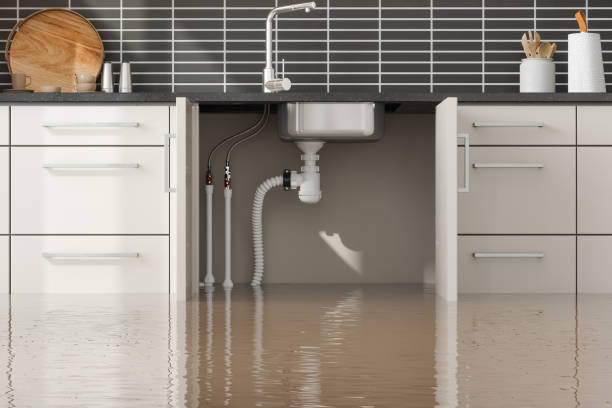 Best Water damage restoration near me  in Steger, IL