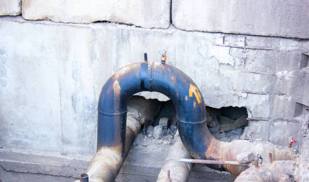 Best Flooded house restoration  in Steger, IL