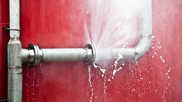 Best Carpet water damage restoration  in Steger, IL